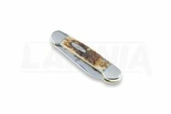 Case Cutlery Canoe Amber Bone Pocket Knife 00263 -knives Shop 2322 CA00263 03