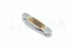 Case Cutlery Canoe Amber Bone Pocket Knife 00263 -knives Shop 2322 CA00263 04