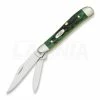 Case Cutlery Peanut Bermuda Green Pocket Knife 9726 1 Case Cutlery Peanut Bermuda Green Pocket Knife 9726 -knives Shop 23455 CA9726 01