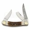 Hen & Rooster Bullrider Deer Stag Pocket Knife -knives Shop 26305 HR283DSBR 01
