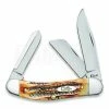 Case Cutlery Sowbelly 6.5 Bonestag Pocket Knife 65313 -knives Shop 44583 CA65313 01