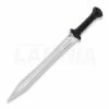 United Cutlery Honshu Gladiator D2 2 United Cutlery Honshu Gladiator D2 -knives Shop 63261 UC3431D2 01